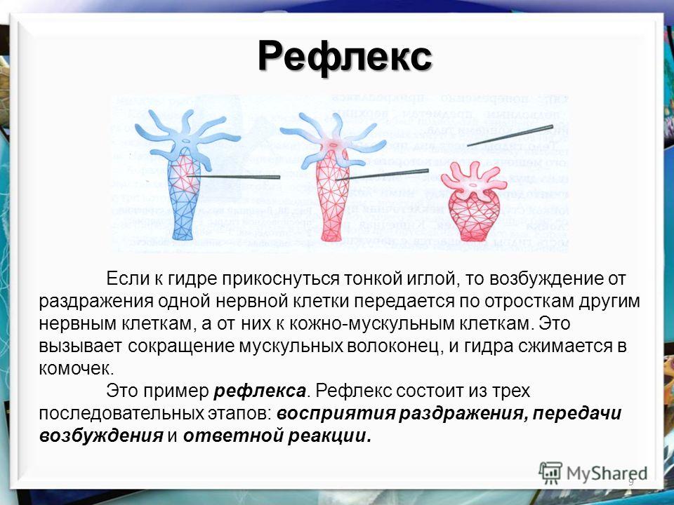 Почему кракен перестал работать